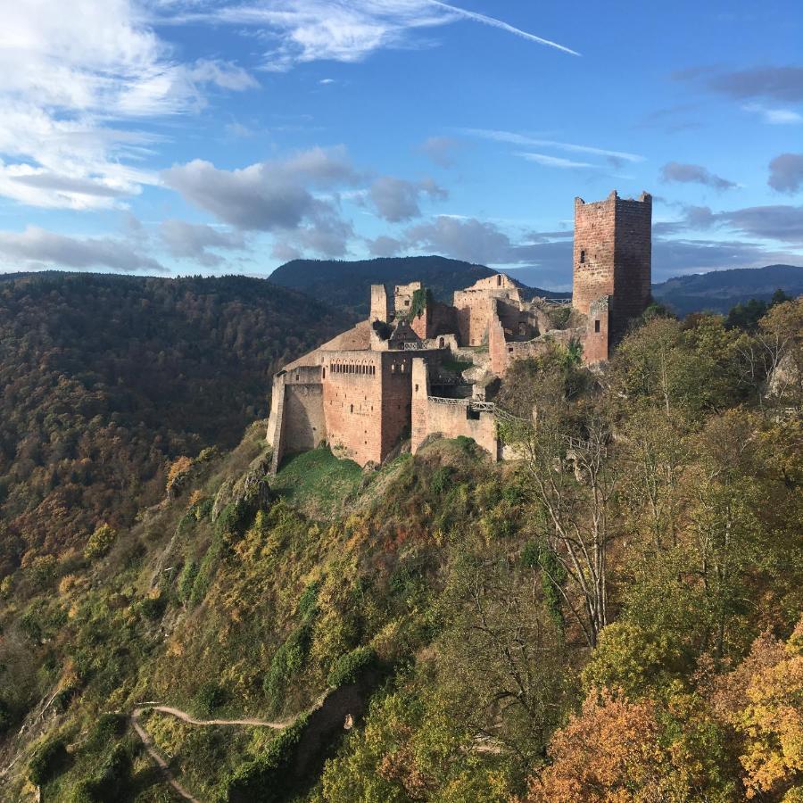 Le Gite Du Moulin Ribeauvillé Exteriér fotografie