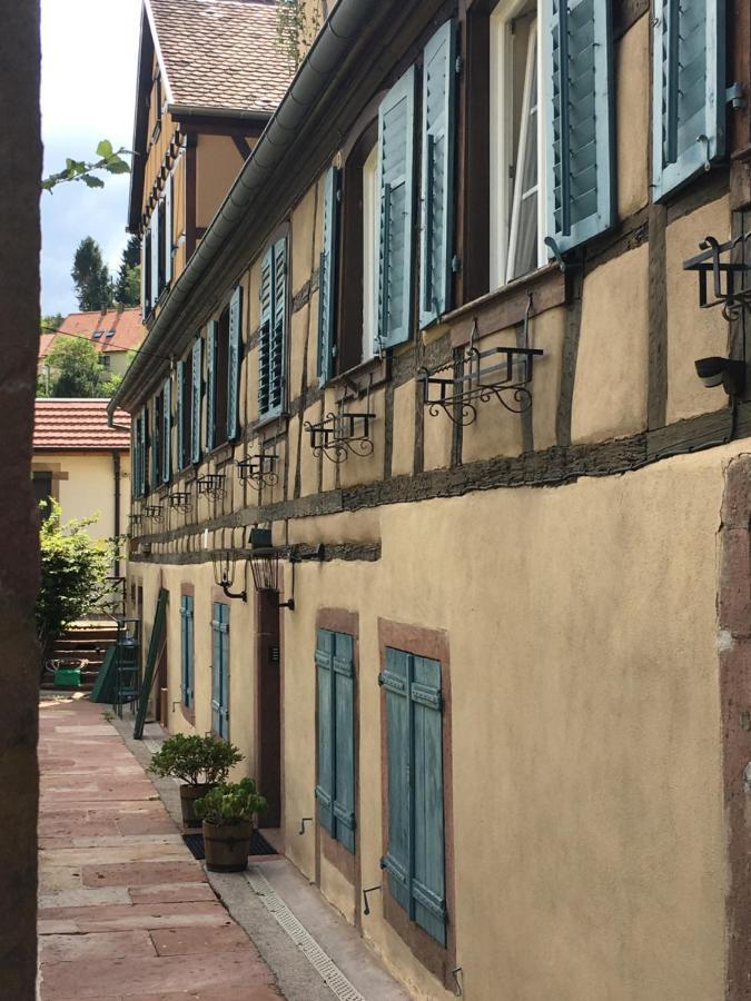 Le Gite Du Moulin Ribeauvillé Exteriér fotografie