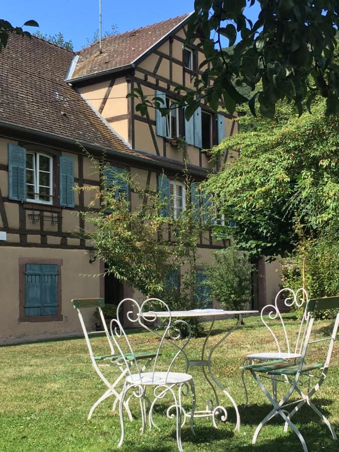 Le Gite Du Moulin Ribeauvillé Exteriér fotografie