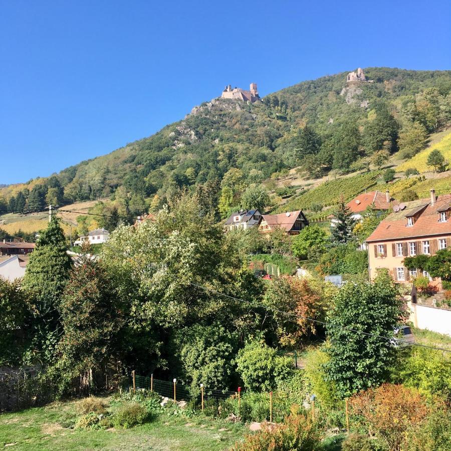 Le Gite Du Moulin Ribeauvillé Exteriér fotografie
